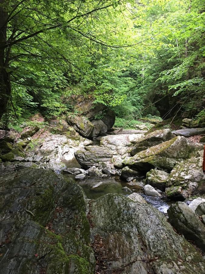 Ferienwohnung Raabklamm Arzberg Eksteriør billede